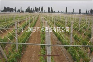大棚滴灌河南周口项城市西红柿膜下滴灌 滴灌管