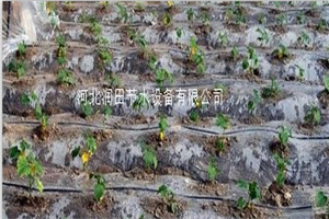河南周口项城市大棚滴灌 滴灌管 离心网式过滤器