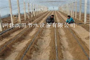 河南周口项城市大棚滴灌 黄瓜膜下滴灌管