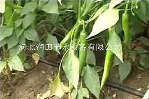 河南周口项城市滴灌管 蔬菜滴灌设备 膜下滴灌