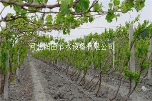 河南周口项城市大棚滴灌 黄瓜膜下滴灌管