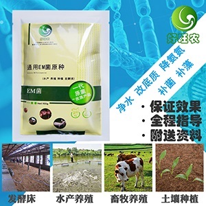 江门养殖对虾使用水产em菌效果好吗