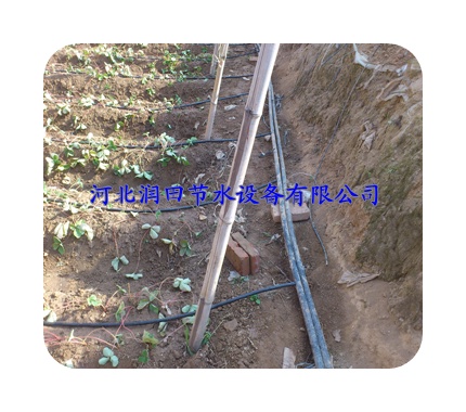 湖南怀化中方县滴灌管安装方便简洁 PE水管价格优惠