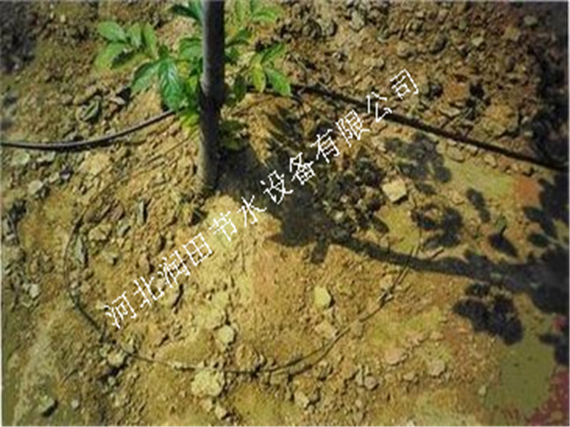 果树灌溉 四川泸州合江县果树滴灌毛管价格