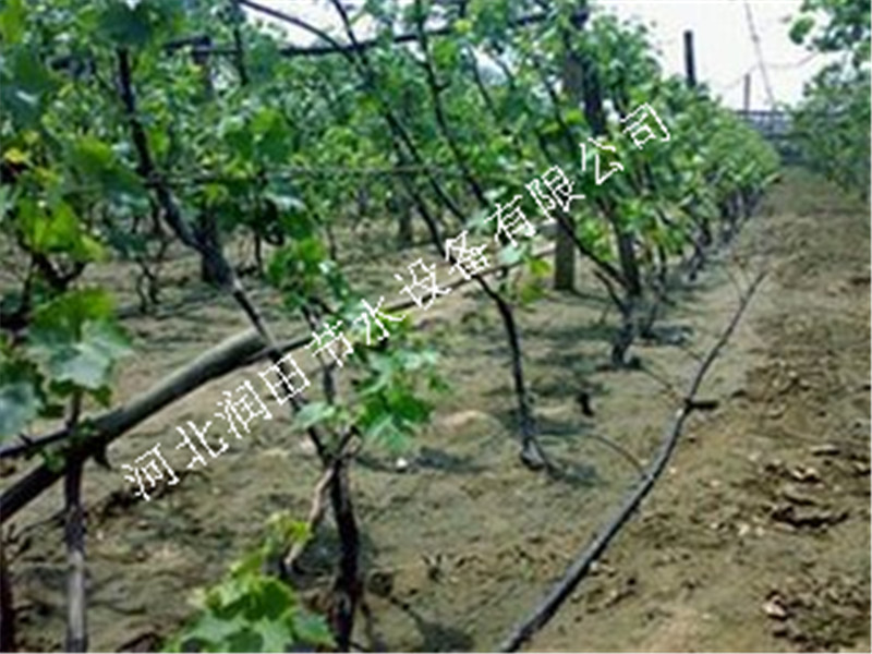 【果树滴水毛管】果树滴灌用的滴灌毛管价格