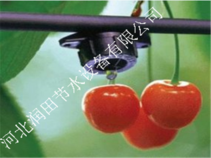 四川泸州合江县果树滴灌 压力补偿式滴头价格 滴水管厂家