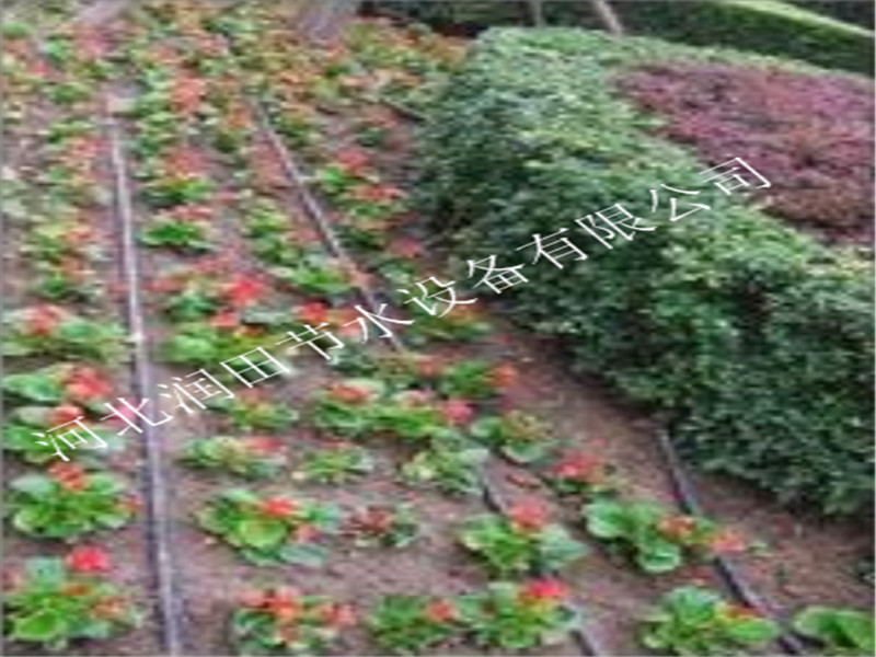各种规格果树滴灌配件 四川泸州合江县果树滴灌毛管套装价格