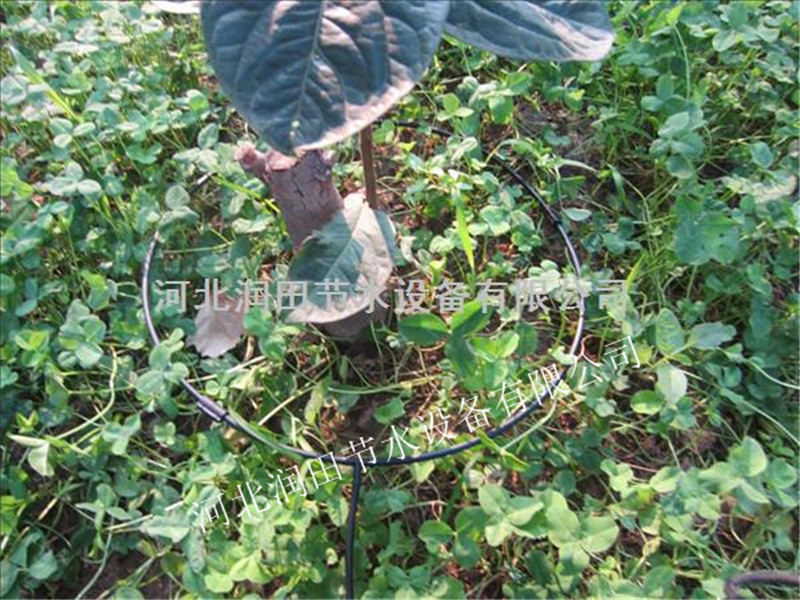 四川泸州合江县果树滴灌 果树滴水毛管价格 施肥罐