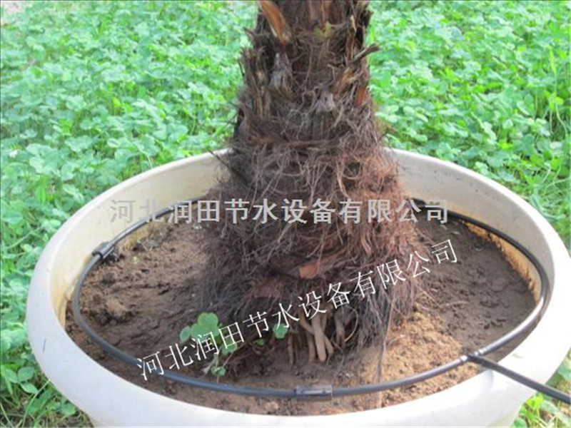供应四川泸州合江县果树滴灌毛管 网式过滤器