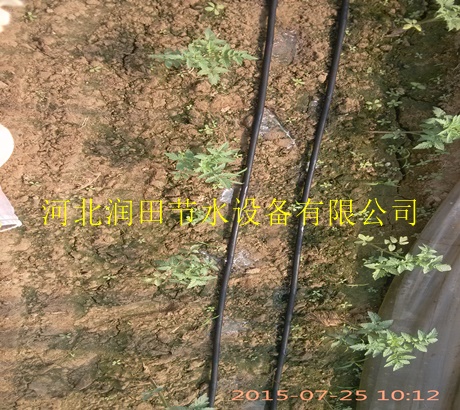 滴灌带生产线 湖南怀化中方县渗水带生产线