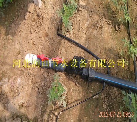 滴灌带生产十年 湖南怀化中方县渗水带专注品质
