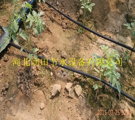 滴灌带价格 湖南怀化中方县渗水带作用