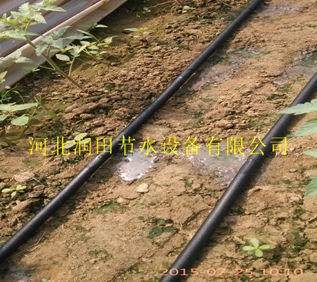 滴灌带产品价格 湖南怀化中方县质量更好的渗水带