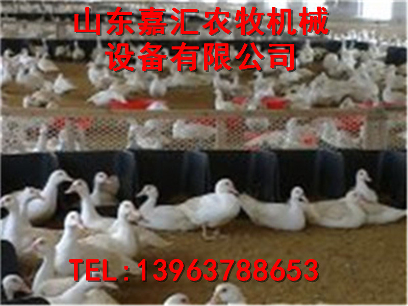 嘉汇农机产蛋箱
