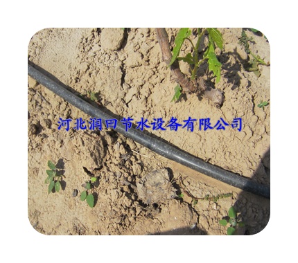 优质滴灌管 四川泸州市叙永县 滴水软管