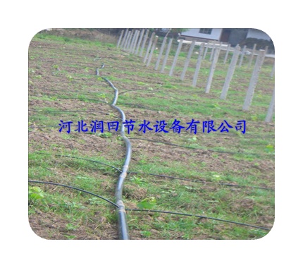 滴灌管格 四川泸州市叙永县滴水软管用途优点