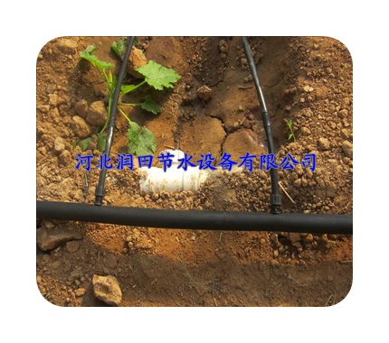 滴灌管生产基地 四川泸州市叙永县滴水软管稳流器设备