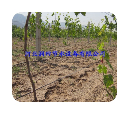 滴灌管厂家促销 四川泸州市叙永县滴水软管优质价廉