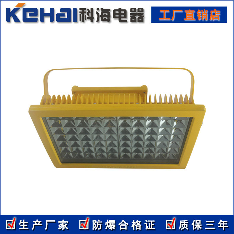 CCd97防爆免维护LED照明灯60W 工厂led防爆吊灯150W