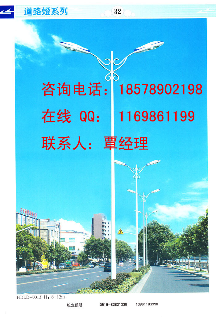 广西道路灯杆图片*灯杆款式*路灯杆健身器材价格