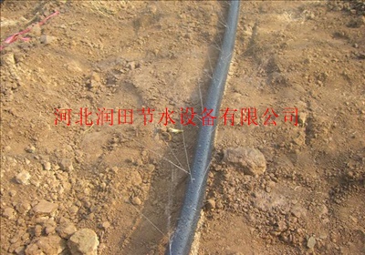 四川泸州市古蔺县微喷带 喷灌软带售后完善