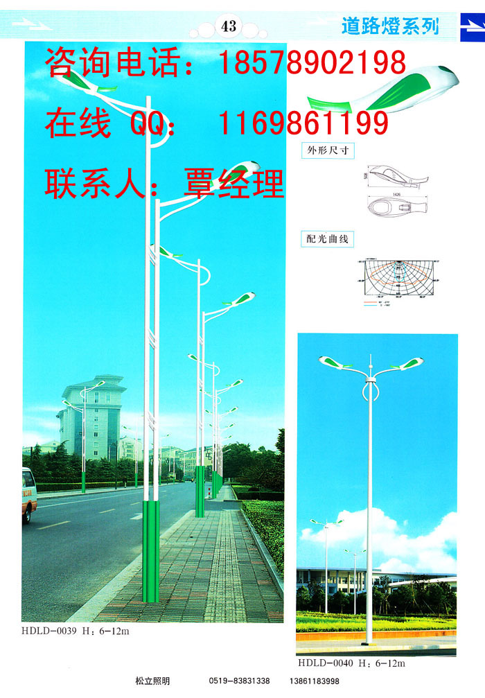 道路灯杆，景观灯杆安装图片