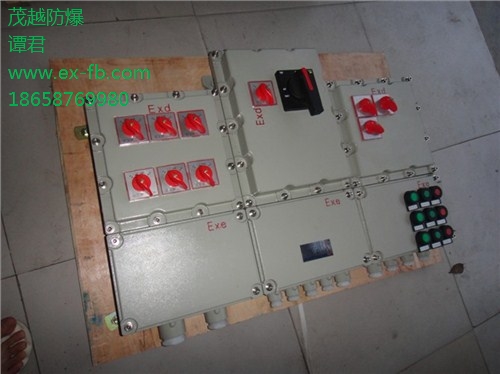 浙江BXX51防爆动力箱 上海BXX51防爆动力箱 茂越供