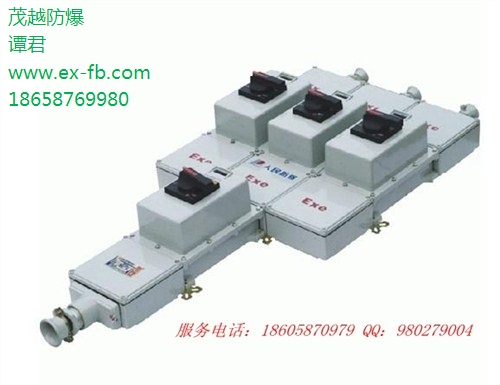 防爆检修箱价格 上海防爆检修箱 浙江防爆检修箱价格 茂越供
