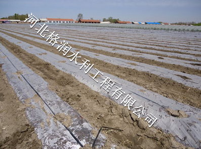 滴水软管 价格 西安高陵县 节水新型稳流器