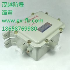 上海YK40-1X2L防爆电子镇流器	 茂越供