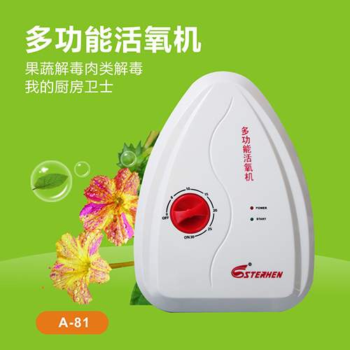 斯特亨活氧消毒机厂家 