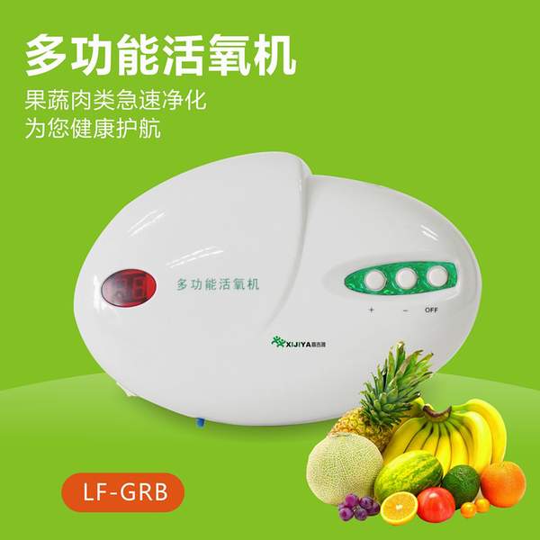 厂家直销多功能活氧机L