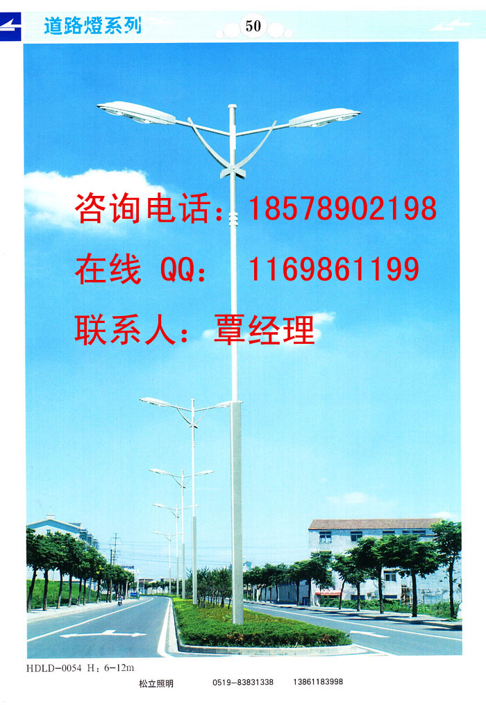 专业道路灯杆，自弯臂道路灯杆公园道路小区灯杆