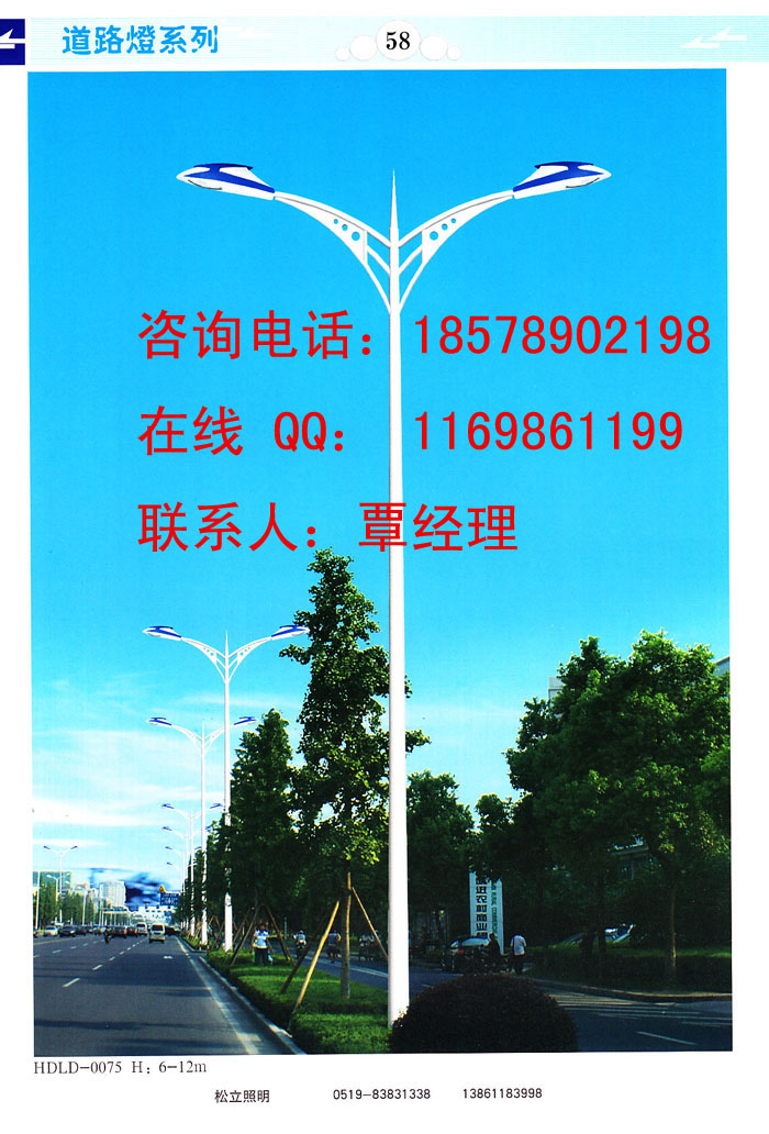 道路灯杆，景观道路灯杆安全地垫，销售路灯杆