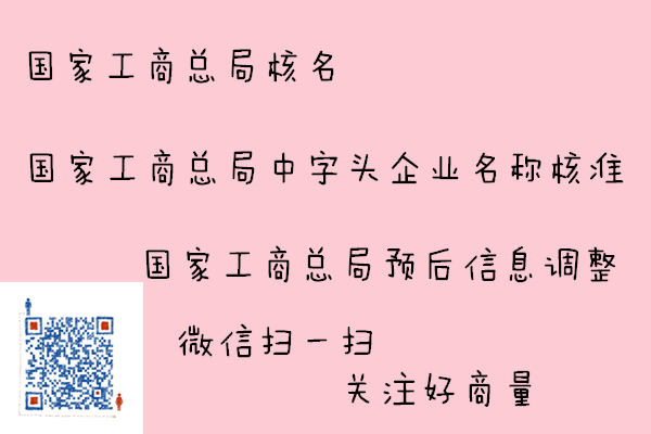 中字开头企业名称预先核准