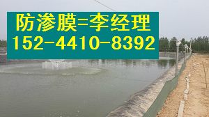 福建畜牧场化粪池防渗膜（包施工）藕池防水布价格