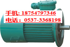 DSB55-4，4kw-55kw 输送机用电机