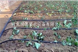 蔬菜滴灌 陕西省旬阳县大棚膜下滴灌 圆柱式滴灌管