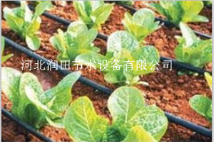 陕西省旬阳县滴灌管 大棚滴灌PE管厂家