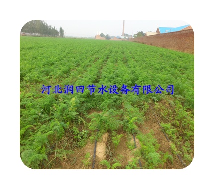 陕西省旬阳县葡萄贴片滴灌带 水肥一体化滴灌