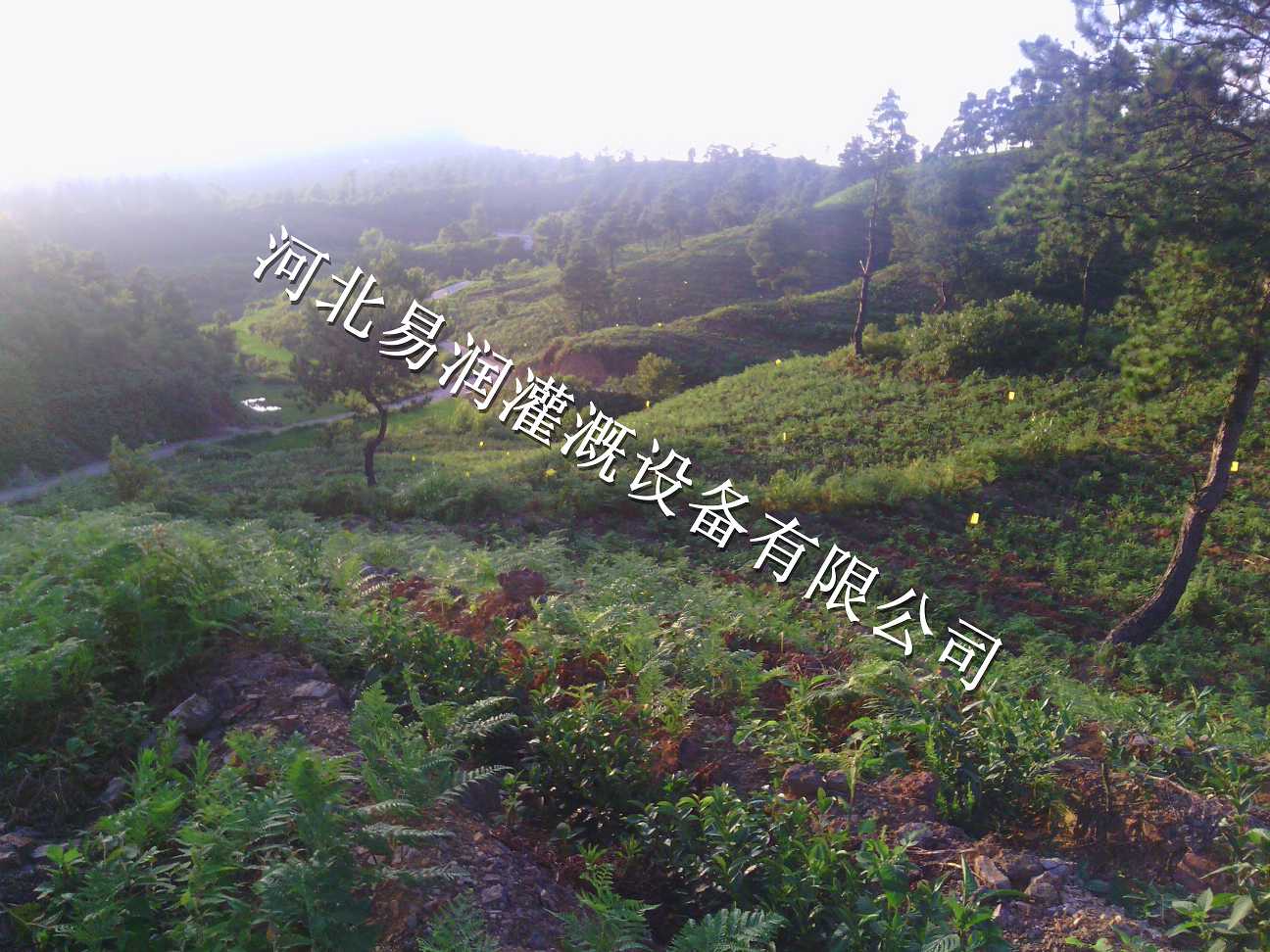 宝鸡市千阳县草莓灌溉PE管小管出流 果树滴灌设备