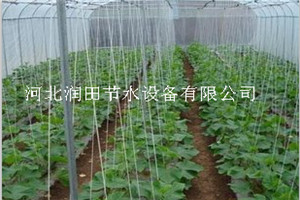 陕西省旬阳县水肥一体化圆柱式滴灌管|施肥罐