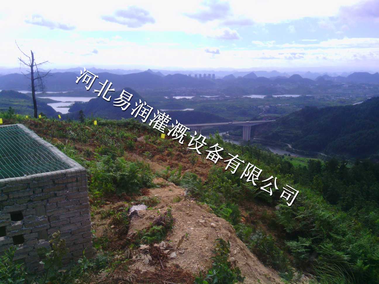 宝鸡市千阳县草莓果树滴灌 灌溉PE管小管出流质优廉价