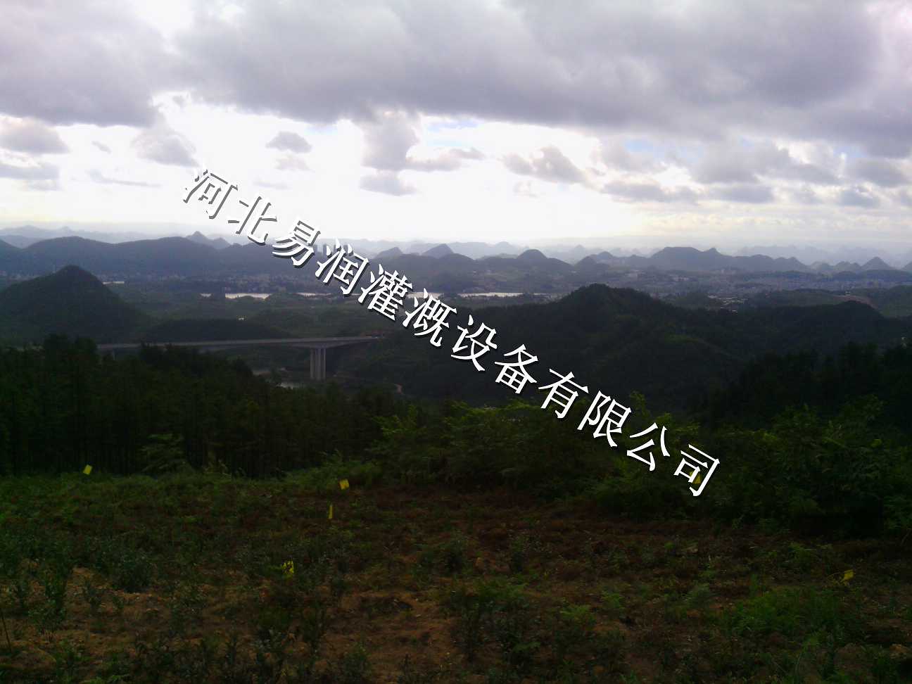 果树滴灌小管出流系统|宝鸡市千阳县草莓灌溉PE管