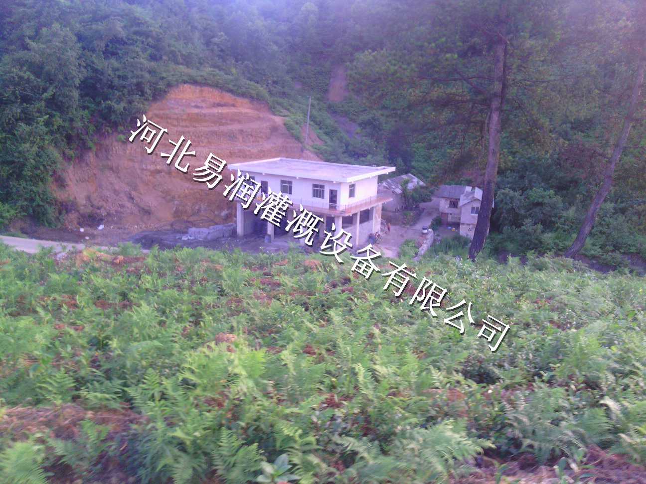 宝鸡市千阳县草莓果树滴灌招收代理 灌溉PE管小管出流经销