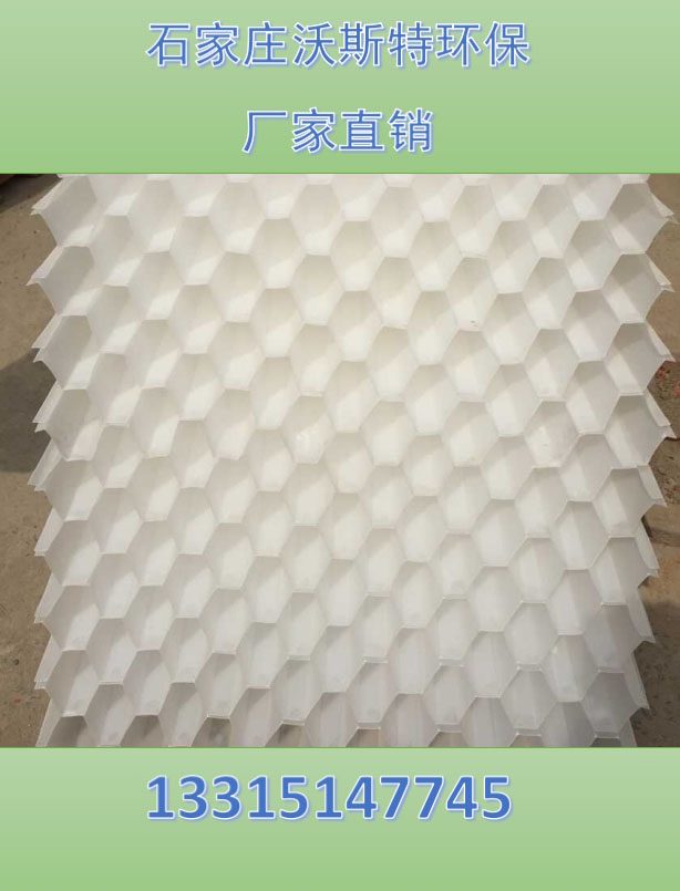 供应四川省蜂窝斜管填料厂家批发 沃斯特环保  
