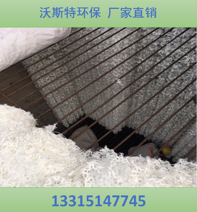 供应宜宾市生物组合填料生产商批发 沃斯特环保 经久耐用