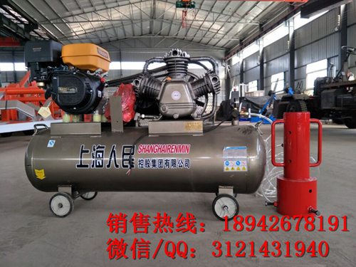 +手持式防汛打桩机 防汛打桩机厂家 植桩机质保时间