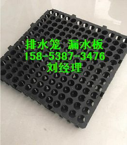 凸起2公分排水板》九江车库滤水板供应15853873476