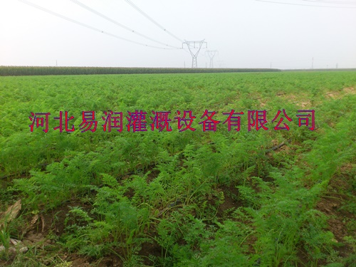 宝鸡市岐山县滴灌厂家直销水肥一体化微灌带